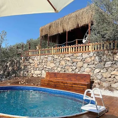 Hébergement de vacances Lovin Goecek&tiny House Olive