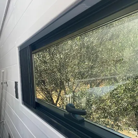 Dom wakacyjny Lovin Goecek&tiny House Olive *