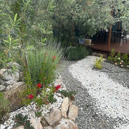Lovin Goecek&tiny House Olive